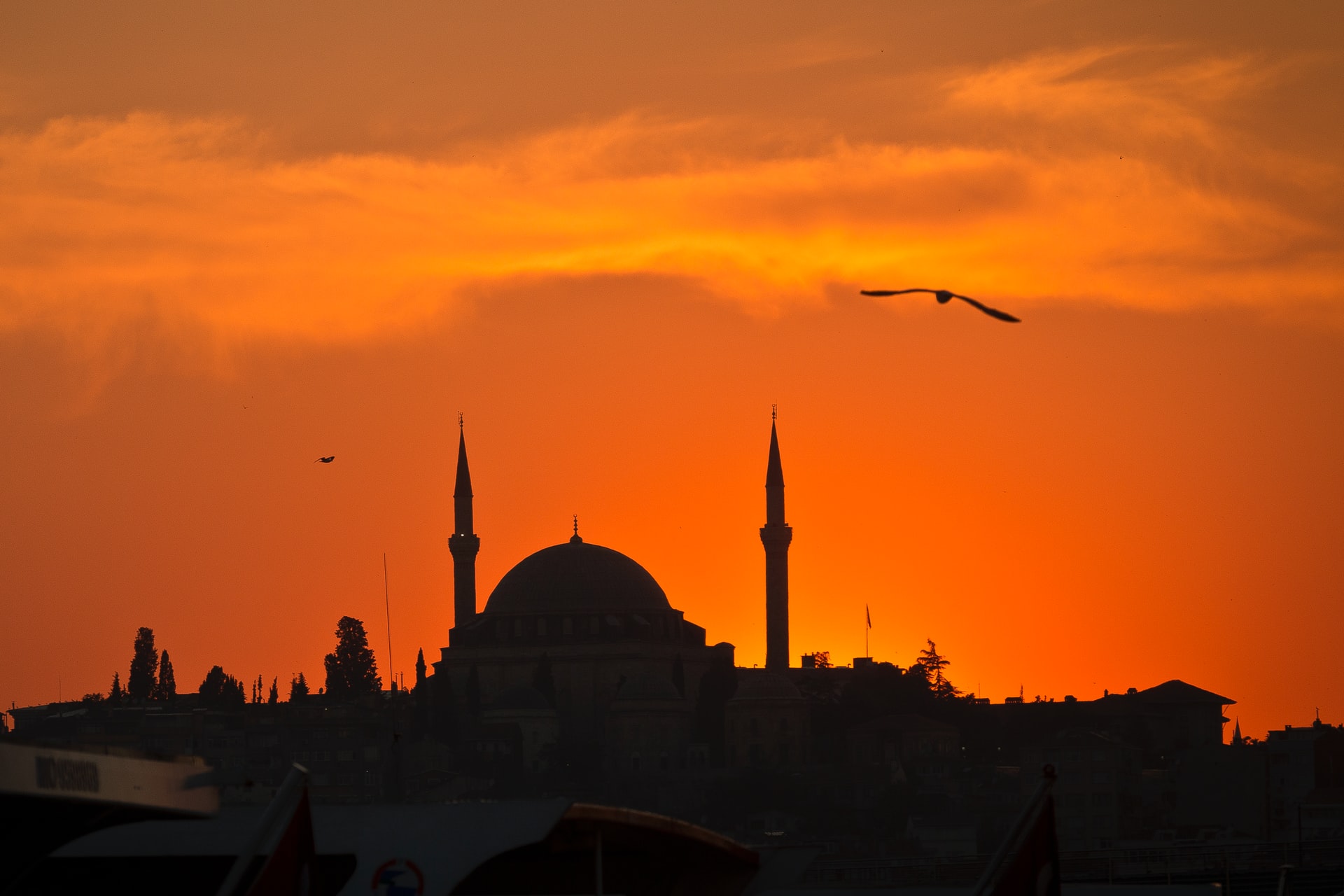 من اصبح جنبا في رمضان فلا صوم له